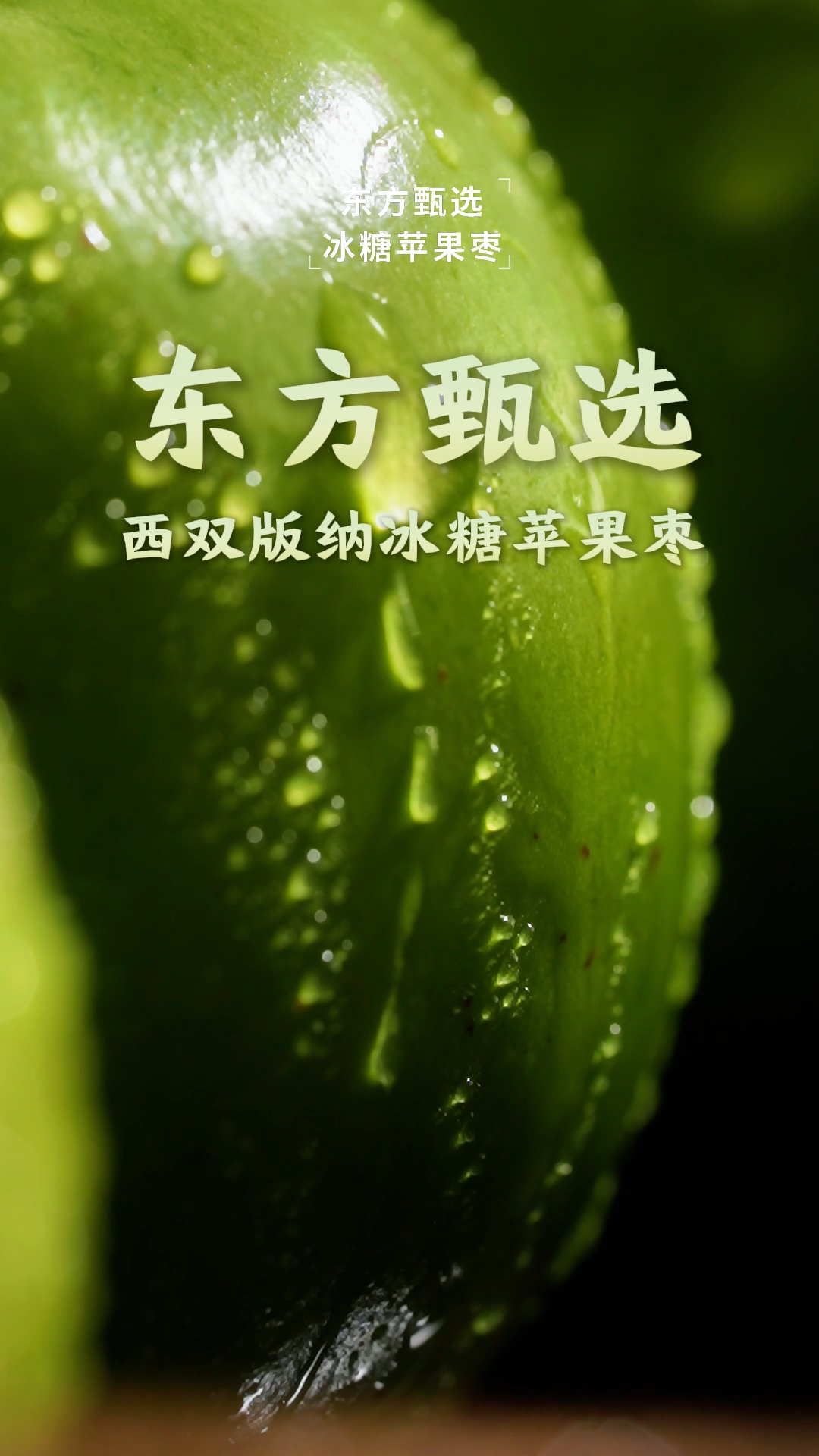 苹果枣2